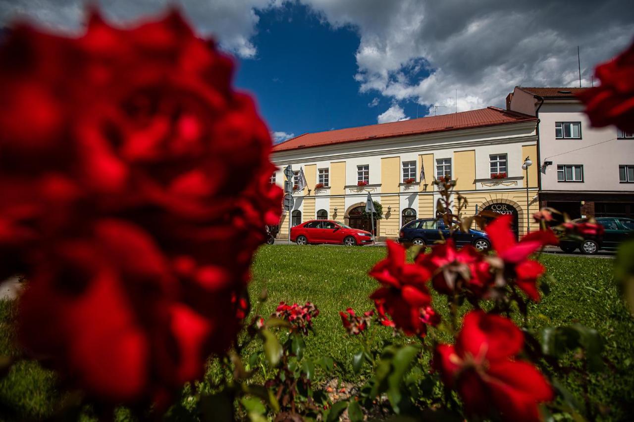 Penzion Satlava Nové Město nad Metují Extérieur photo